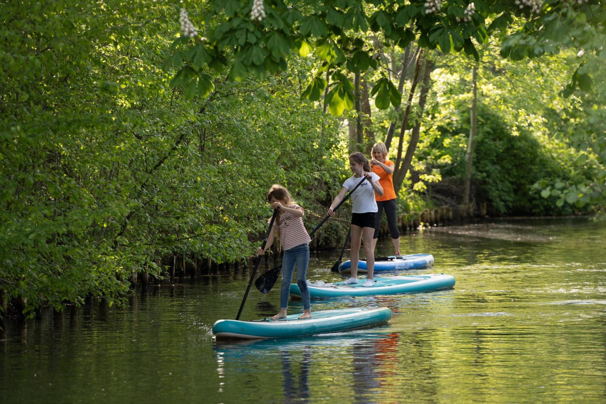 Spreewald Chalet Wohnung Spreeblick Kolonie  ภายนอก รูปภาพ